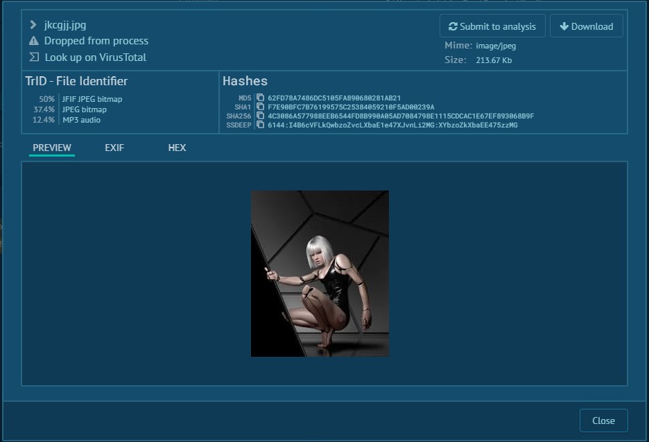 jkcgjj.jpg dropped from process